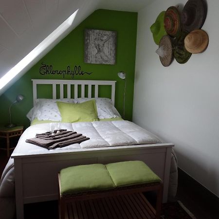 Chambres D'Hotes De La Voie Romaine Plouigneau Εξωτερικό φωτογραφία